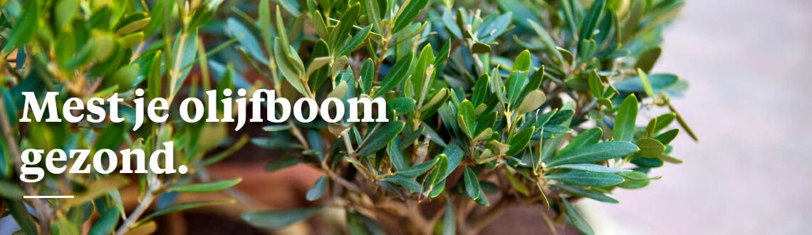 [paste advice page name here]